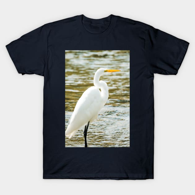 Egret in a Stream Photograph T-Shirt by love-fi